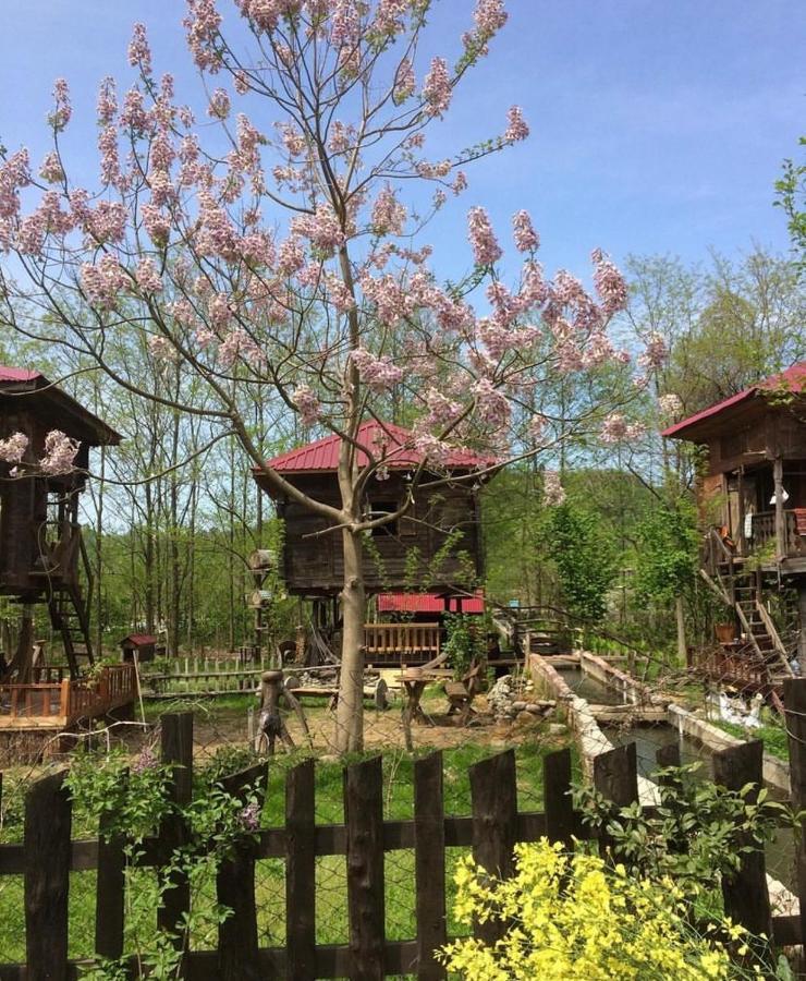Zeni De Vore Serender & House Aparthotel Ризе Екстериор снимка