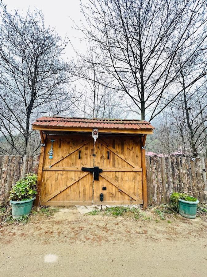 Zeni De Vore Serender & House Aparthotel Ризе Екстериор снимка
